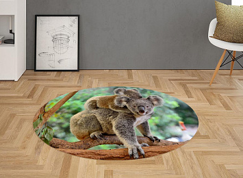 3D Ковер «Семейство коал»