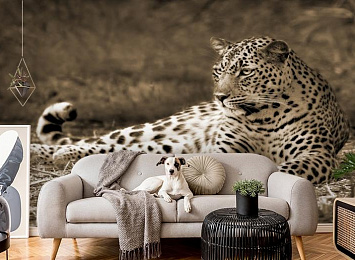 3D Фотообои «Леопард сепия»