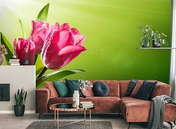 3D Фотообои «Тюльпаны на зеленом фоне»