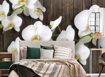 3D Фотообои «Роскошная орхидея»