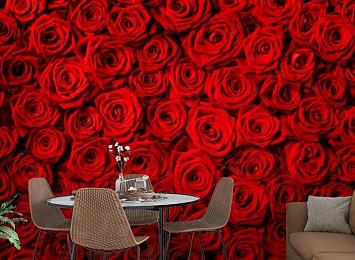 3D Фотообои «Миллион алых роз»