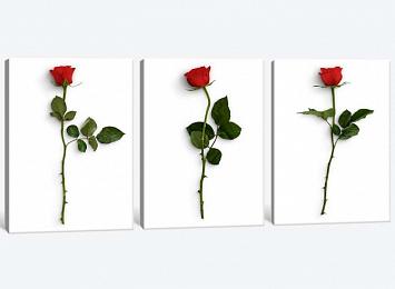 5D картина «Красные розы»