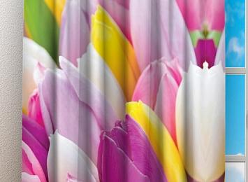 Фотошторы «Разнообразие тюльпанов»