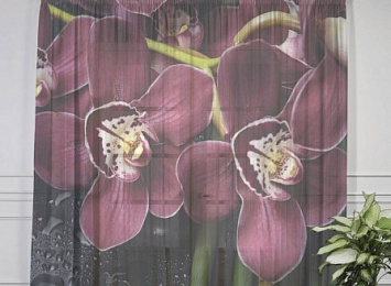 3D Тюль на окна "Орхидеи и капли воды"