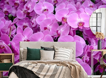 3D Фотообои «Ковер из орхидей»