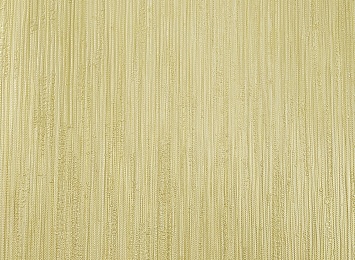 21854 Обои Zambaiti (Trussardi V) (1*6) 10,05x0,70 винил на флизелине