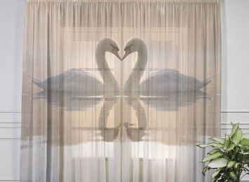 3D Тюль на окна "Влюбленные лебеди"