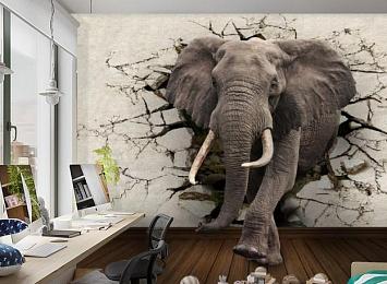 3D Фотообои  «Слон сквозь стену»