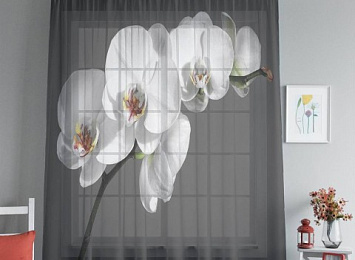3D Тюль "Белая орхидея на сером фоне"
