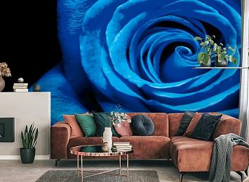 3D Фотообои «Синяя роза»