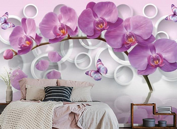 3D Фотообои «Орхидея с объемными кругами»