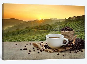 5D картина  «Кофейные плантации»