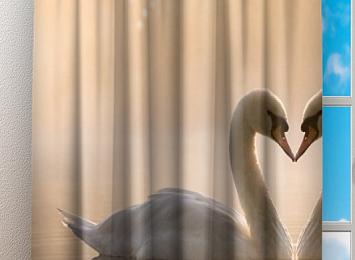 Фотошторы «Влюбленные лебеди»