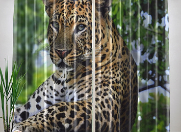 Фотошторы «Отдыхающий леопард»