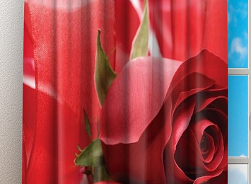 Фотошторы «Композиция с алыми розами»