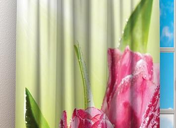 Фотошторы «Тюльпаны на зеленом фоне»
