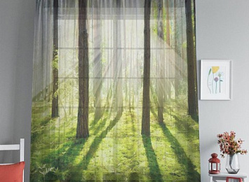 Фототюль с печатью изображения "Солнечный лес"