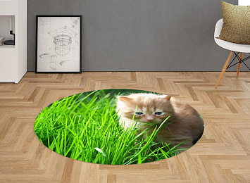 3D Ковер «Котенок на лужайке»