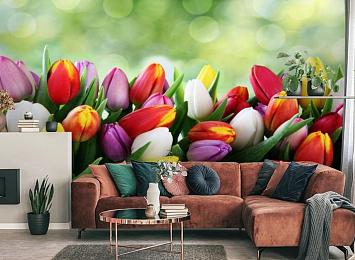3D Фотообои «Разноцветные тюльпаны»