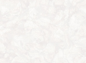 R 23516 Обои Fipar (Brilla) (1*4) 10,05х1,06 винил на флизелине