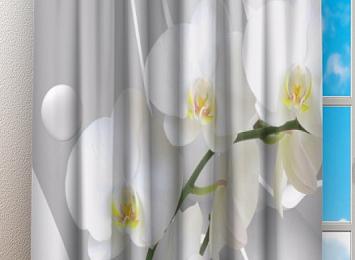 Фотошторы «Белая орхидея на объемном фоне»