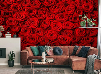 3D Фотообои «Миллион алых роз»