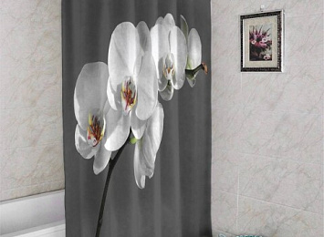 3D штора в ванную «Белая орхидея на сером фоне»