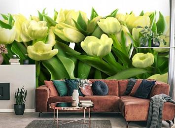 3D Фотообои «Нежные желтые тюльпаны»