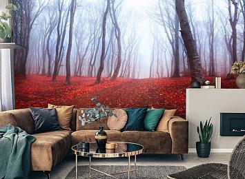 3D Фотообои  «Осенний лес в тумане»
