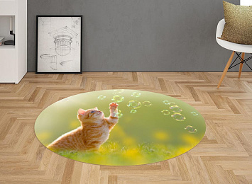 3D Ковер «Рыжий кот с мыльными пузырями»