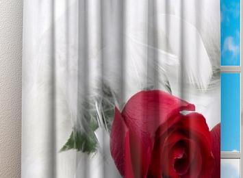 Фотошторы &quotКрасные розы в перьях"