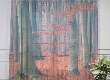 3D Тюль "Деревья в осеннем лесу"