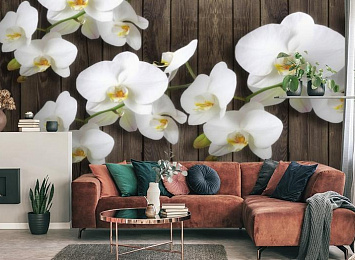 3D Фотообои «Роскошная орхидея»