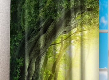 Фотошторы «Тоннель из деревьев»