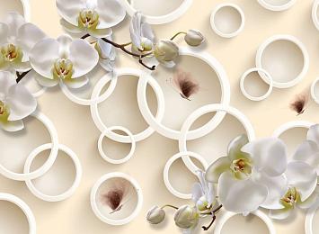 3D Фотообои «Кремовые орхидеи с объёмными кругами и бабочками»