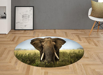 3D Ковер «Слон»