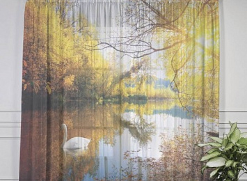 Фототюль "Лебедь в осеннем озере"