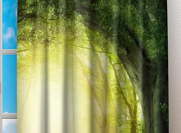 Фотошторы «Тоннель из деревьев»