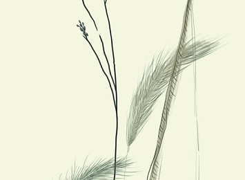 Обои 63487 Панно Marburg (Crush Motion) (1*1) 2,70x0,70  флизелин — стиль и качество для вашего интерьера