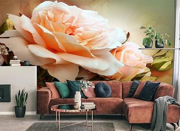 3D Фотообои «Персиковая роза»