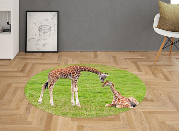 3D Ковер «Жирафы на лужайке»