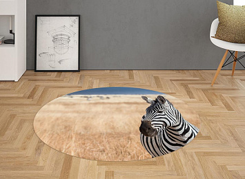 3D Ковер «Одинокая зебра»