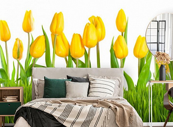 3D Фотообои «Желтые тюльпаны»