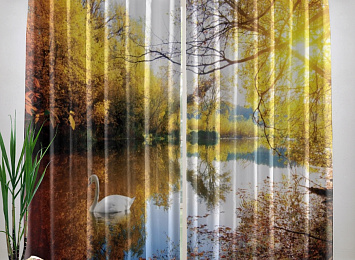 Фотошторы «Лебедь в осеннем озере»