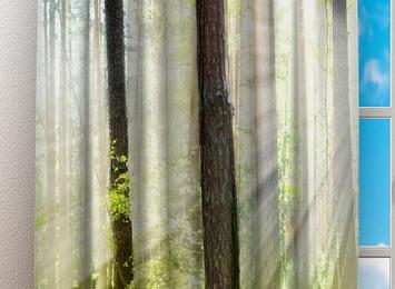 Фотошторы «Солнечный лес»