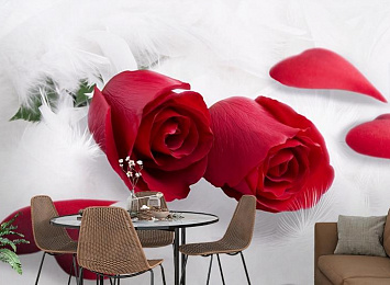 3D Фотообои «Красные розы в перьях»