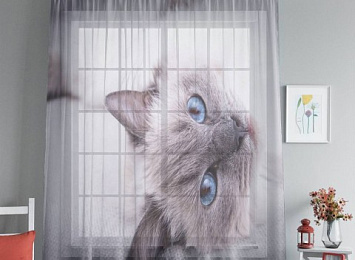Оконный 3D тюль "Голубоглазая кошка"