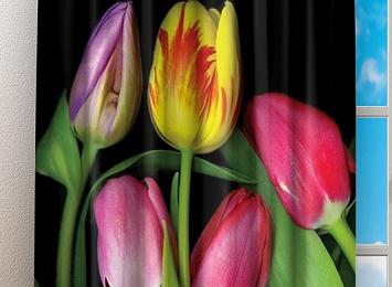 Фотошторы «Тюльпаны на темном фоне»