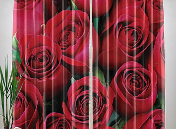 Фотошторы «Нежные бордовые розы»