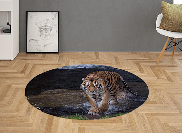 3D Ковер «Тигр на побережье»